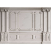 LB0420 Classic Interior Wall Theme Backdrop